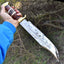Elite D2 Steel Bowie Knife - 16" Length, 11" Blade, Antler Handle with Leather & Brass Accents - Korvel