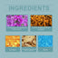 Gentle Earwax Cleaning Spray for Daily Care