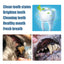 Pet Tooth Beauty Pen Dog Cat Cat Dog Pet tooth cleaning pen tartar stone cleaning tool - Korvel
