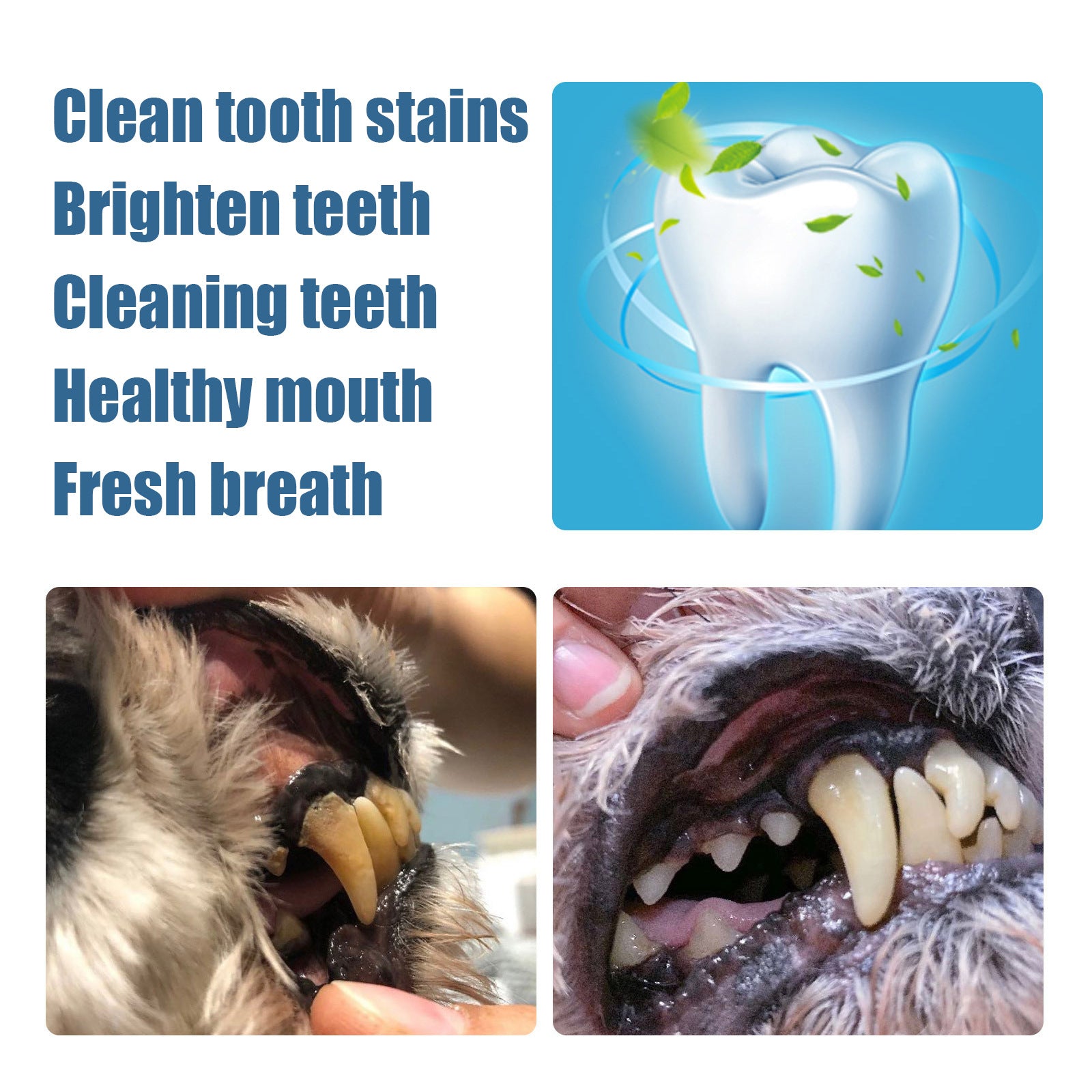 Pet Tooth Beauty Pen Dog Cat Cat Dog Pet tooth cleaning pen tartar stone cleaning tool - Korvel