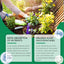 Moonspry Chlorophyll Spray - Whole Plant Nutrient Solution