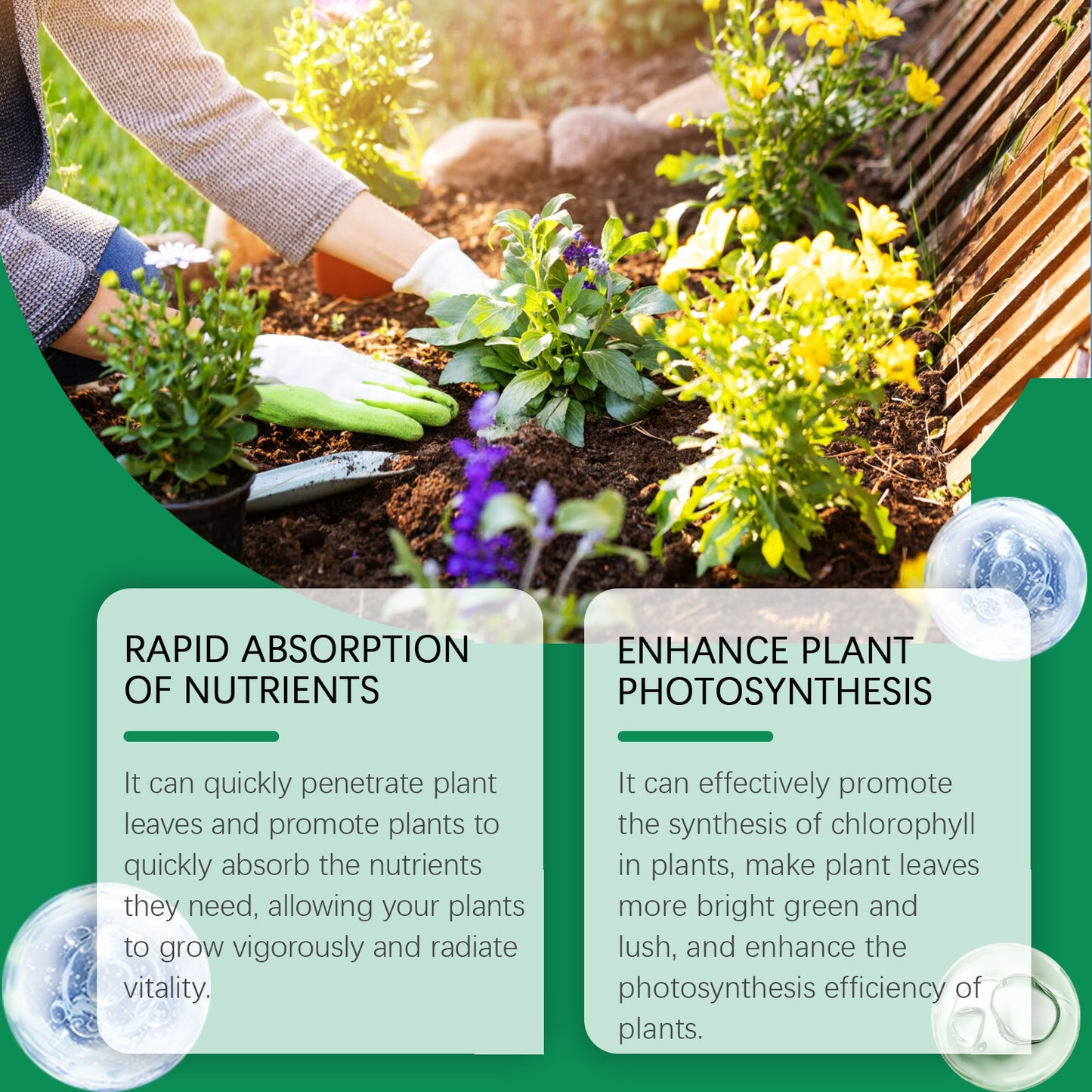 Moonspry Chlorophyll Spray - Whole Plant Nutrient Solution