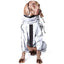 Imperméable Réfléchissant pour Chien pour Toutes les Aventures Météorologiques