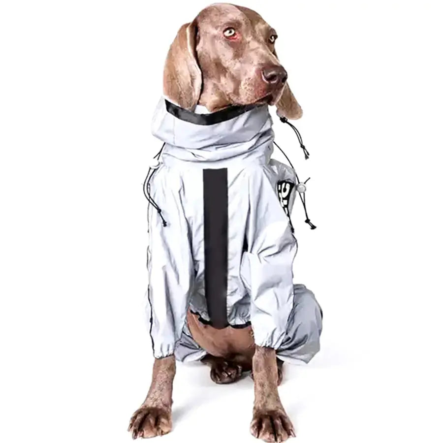 Imperméable Réfléchissant pour Chien pour Toutes les Aventures Météorologiques