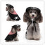 Personalized Christmas & Halloween Pet Costumes