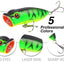 5pcs/set 5 Colored Fishing Lures - Korvel