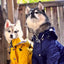 Premium Windproof British Retro Dog Raincoat