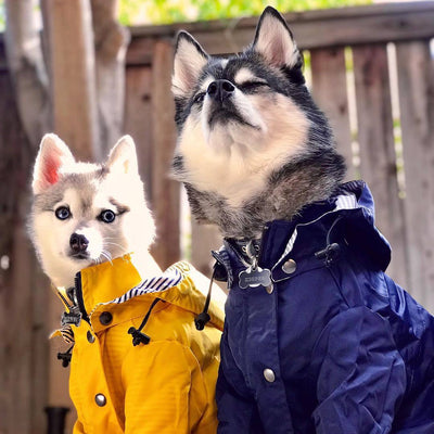 Premium Windproof British Retro Dog Raincoat