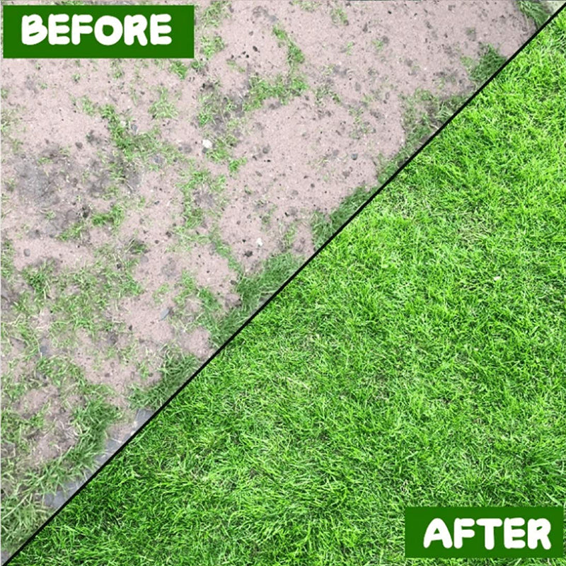 Degradable lawn seedling mat (10×0.7ft) for playgrounds, flower beds, greenhouse landscapes. - Korvel