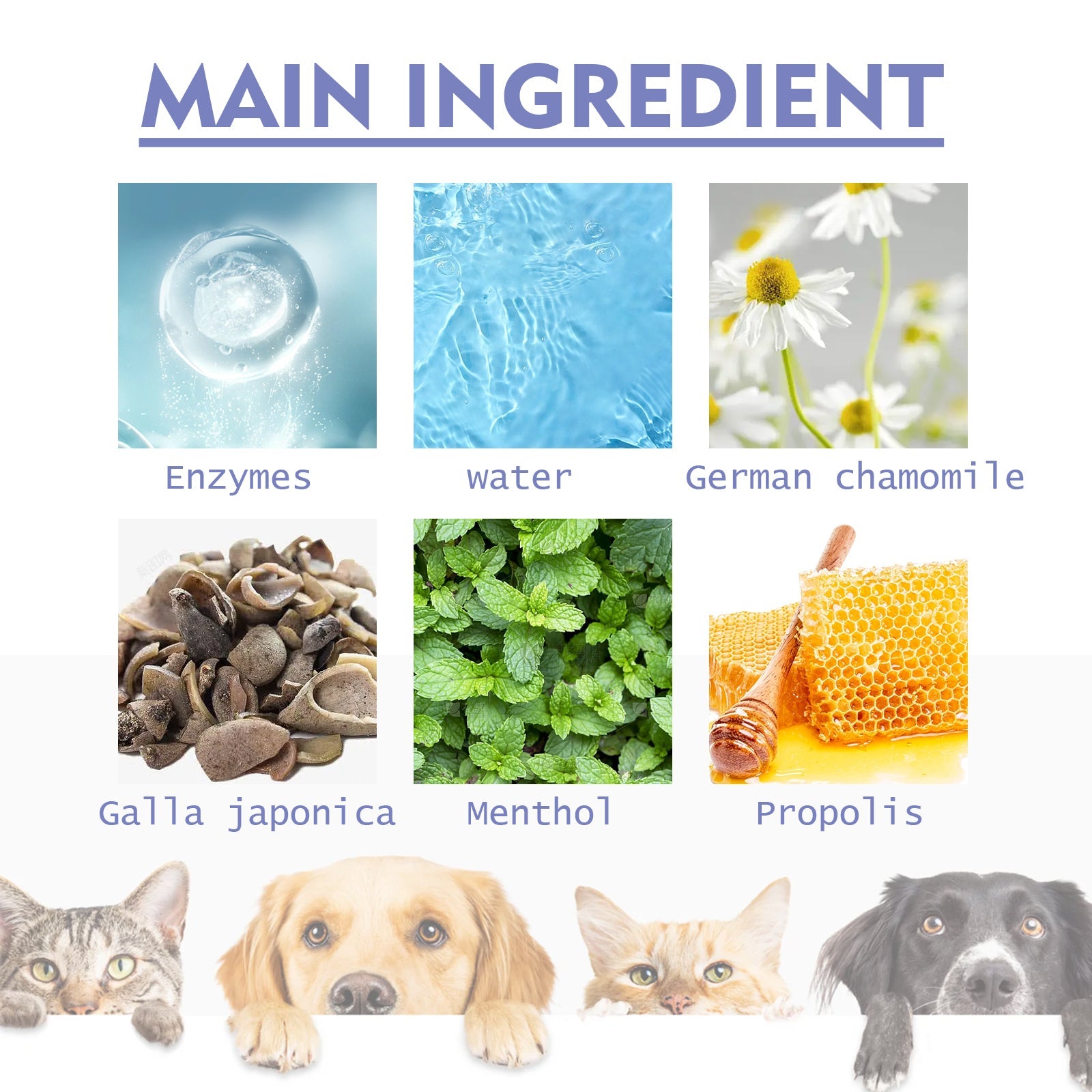 Tooth Cleaning Spray For Cats And Dogs, Remove Tooth Stains Fresh Breath Pets Oral Care Spray - Korvel