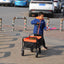 Folding Wagon Garden Shopping Beach Cart - Korvel