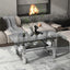 Modern Transparent Tempered Glass Coffee Table