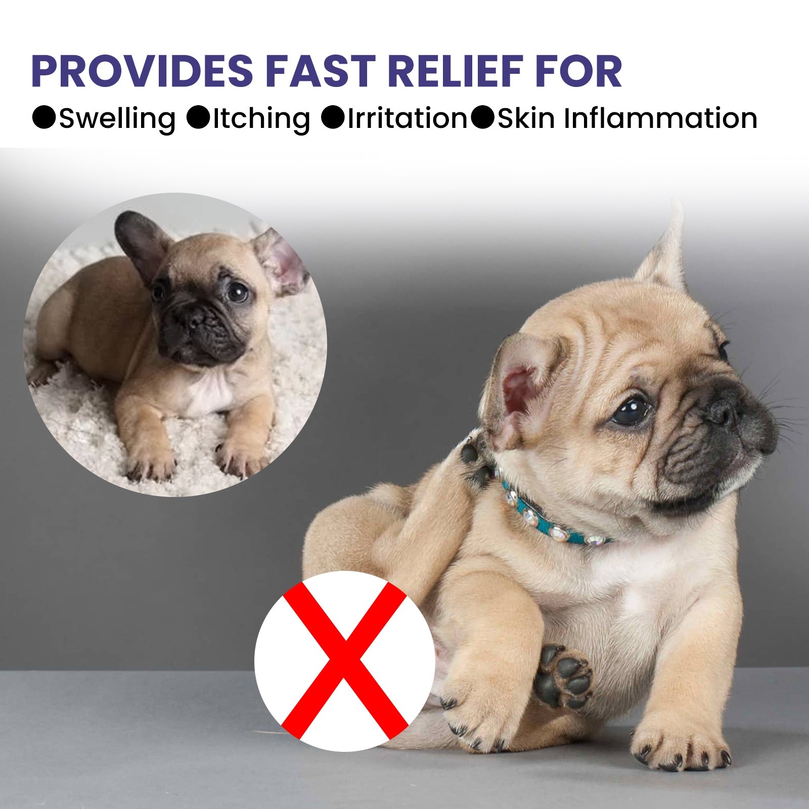 Pet Anti-Itch Spray, Pet Universal Cleaning And Soothing Skin Fur For Anti-Mite Anti-Bug Anti-Itch Spray - Korvel
