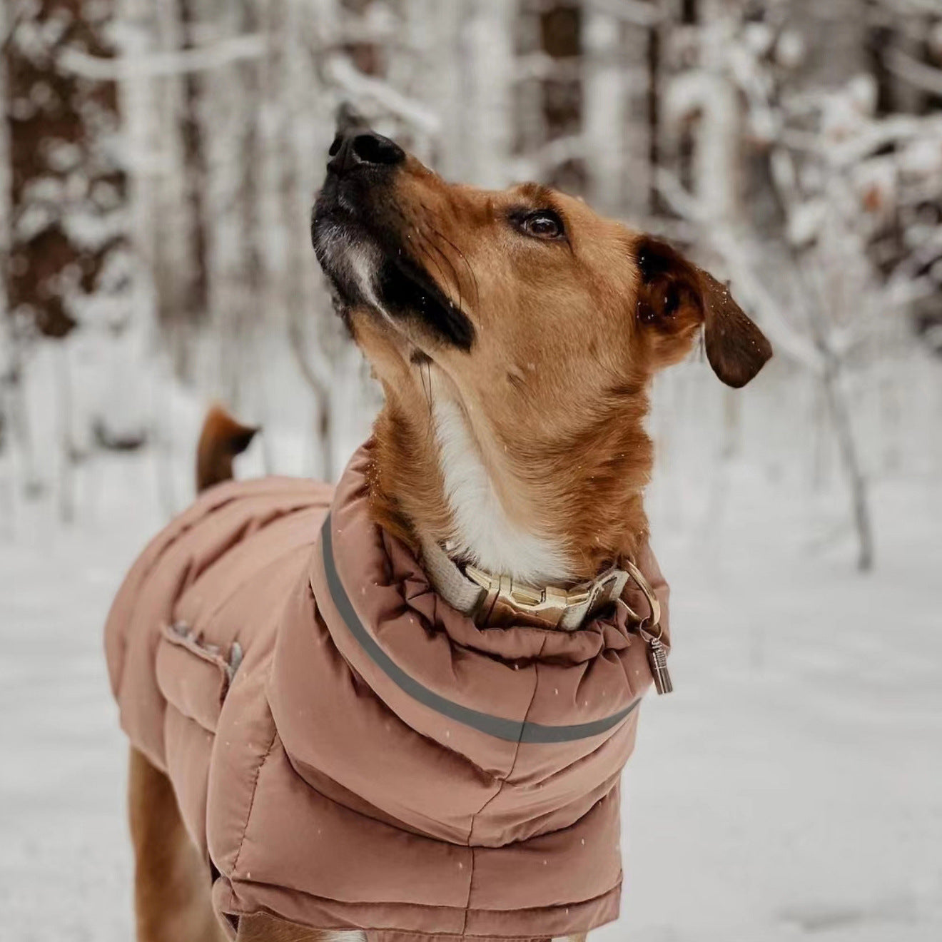 Manteau pour chien imperméable à deux pattes - Chaud et élégant