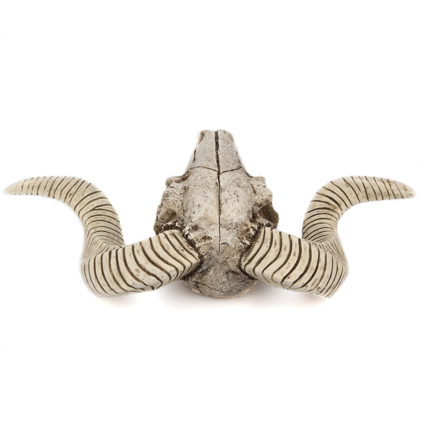 Horned Skull Wall Hanging Creative Home Living Room Decor Retro Resin Craft - Korvel
