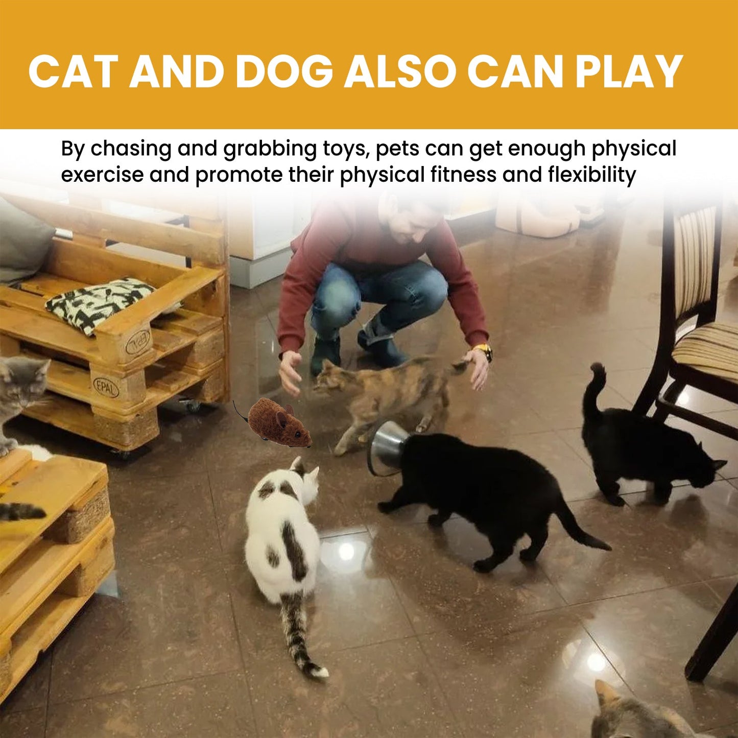 Jouet interactif intelligent en forme de souris pour chats et chiens