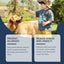 Premium Immune Support Supplement for Dogs