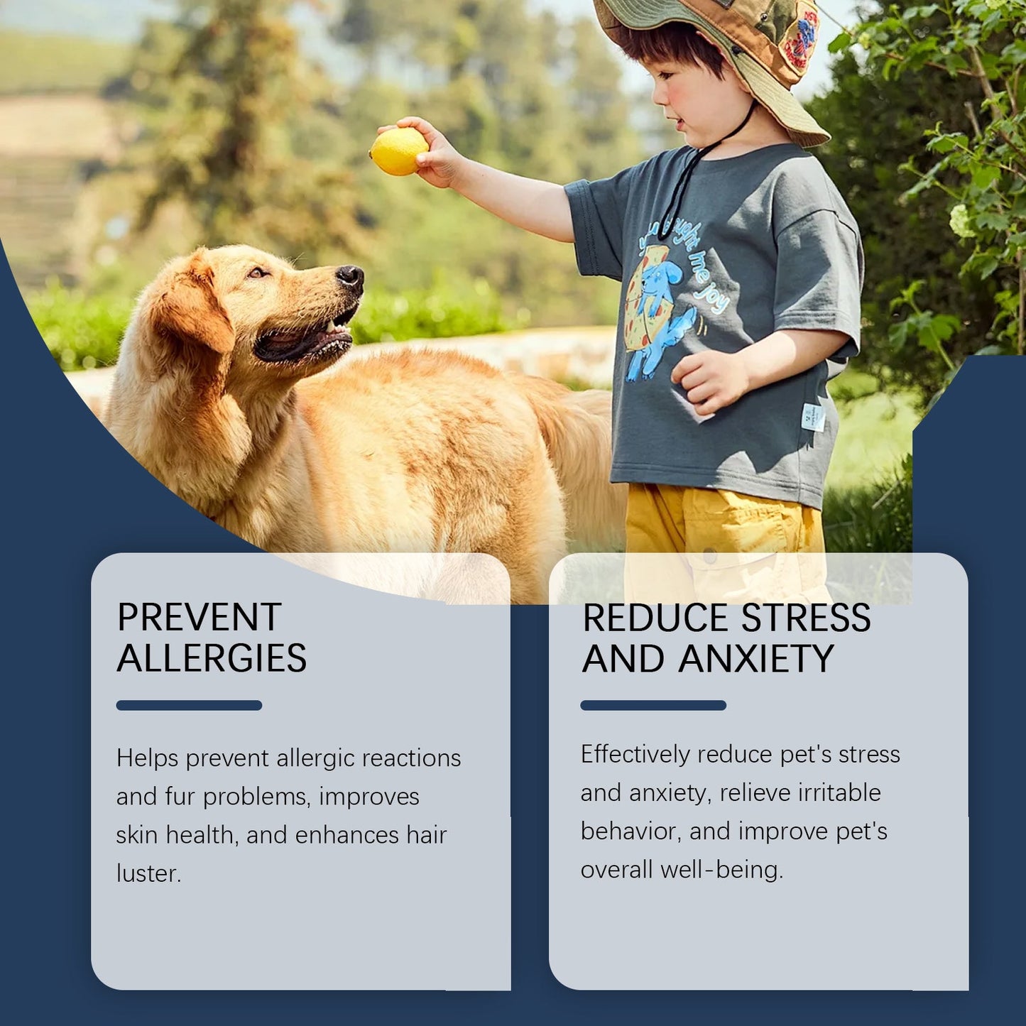 Premium Immune Support Supplement for Dogs