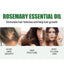 Rosemary Essential Oil for Nourishing Hair and Scalp Care