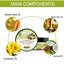 Intensive Tanning Butter, Outdoor Sunbathing Evenly Helps Tan To Create Tan Skin Moisturizing Cream - Korvel