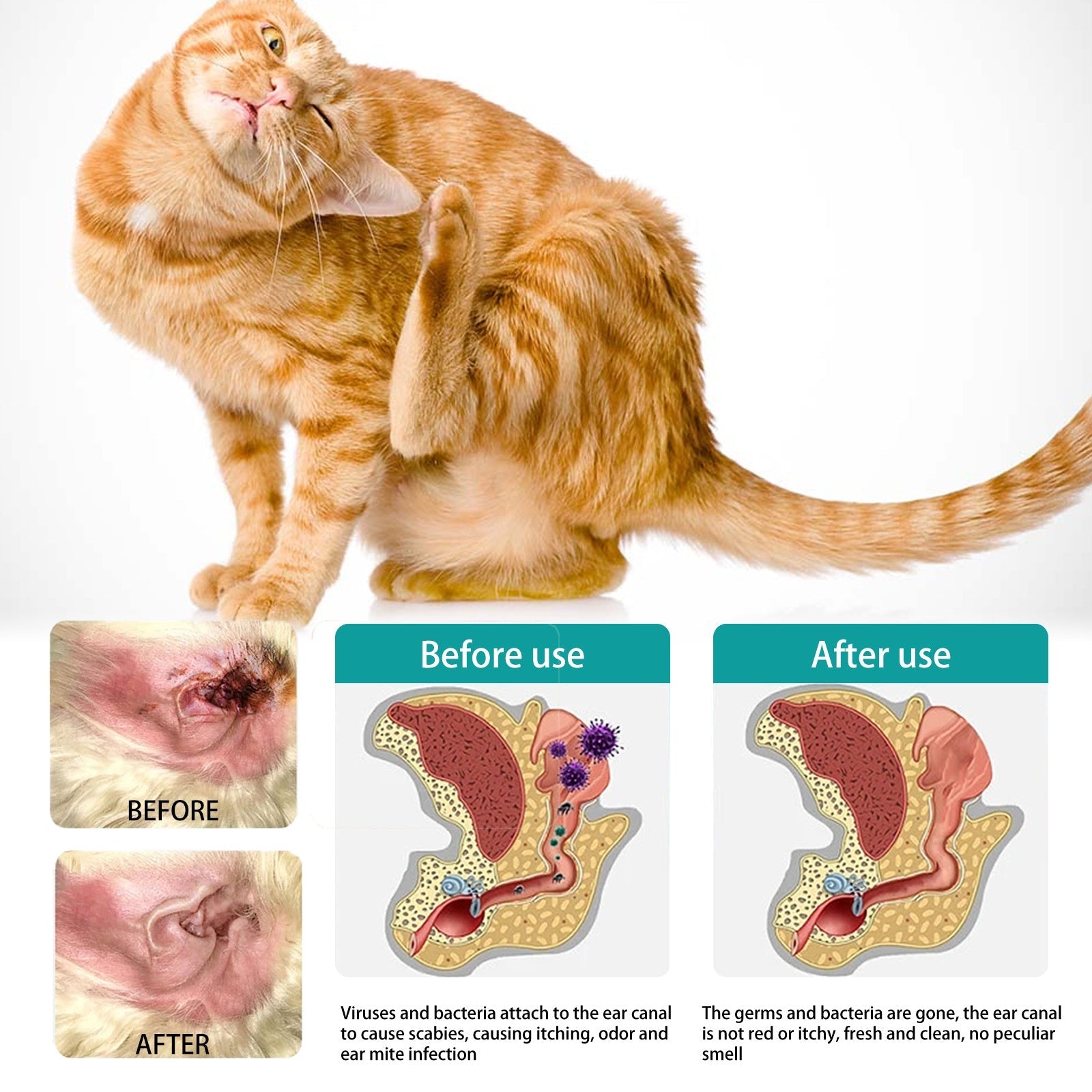 Pet Ear Cleaning Finger Sleeves for Cats and Dogs Ear Mite and Earwax Care Ear Canal Cleaning Finger Sleeves - Korvel