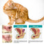 Premium Pet Ear Cleaning Finger Sleeves for Cats and Dogs