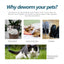 Premium Anti-Flea and Tick Drops for Cats and Dogs