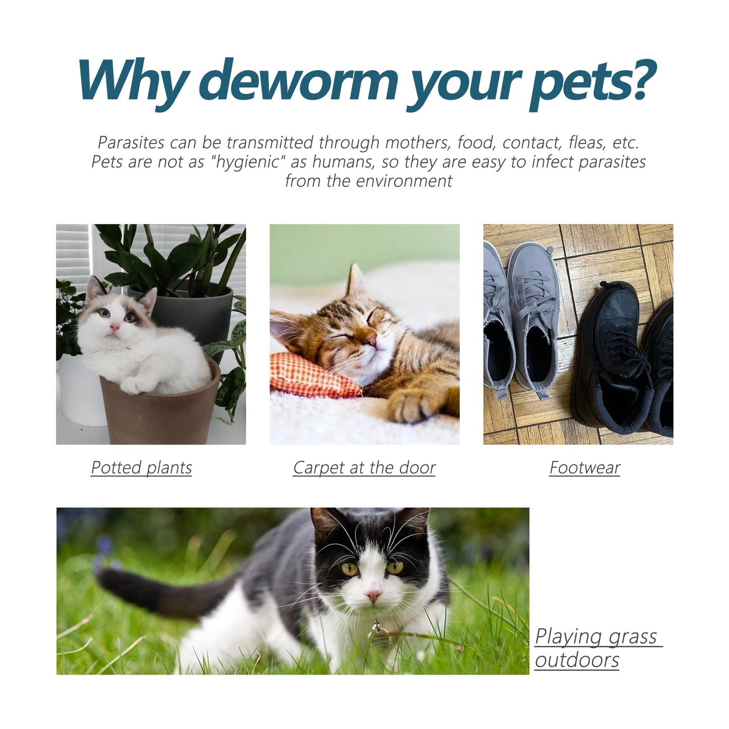 Premium Anti-Flea and Tick Drops for Cats and Dogs