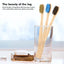 Brosse à dents en bambou naturel avec poils doux