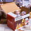Santa Claus Curtain String Lights
