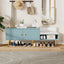 Modern Tiffany Blue Shoe Storage Bench with Cushions