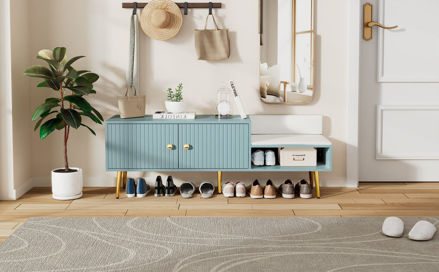 Modern Tiffany Blue Shoe Storage Bench with Cushions