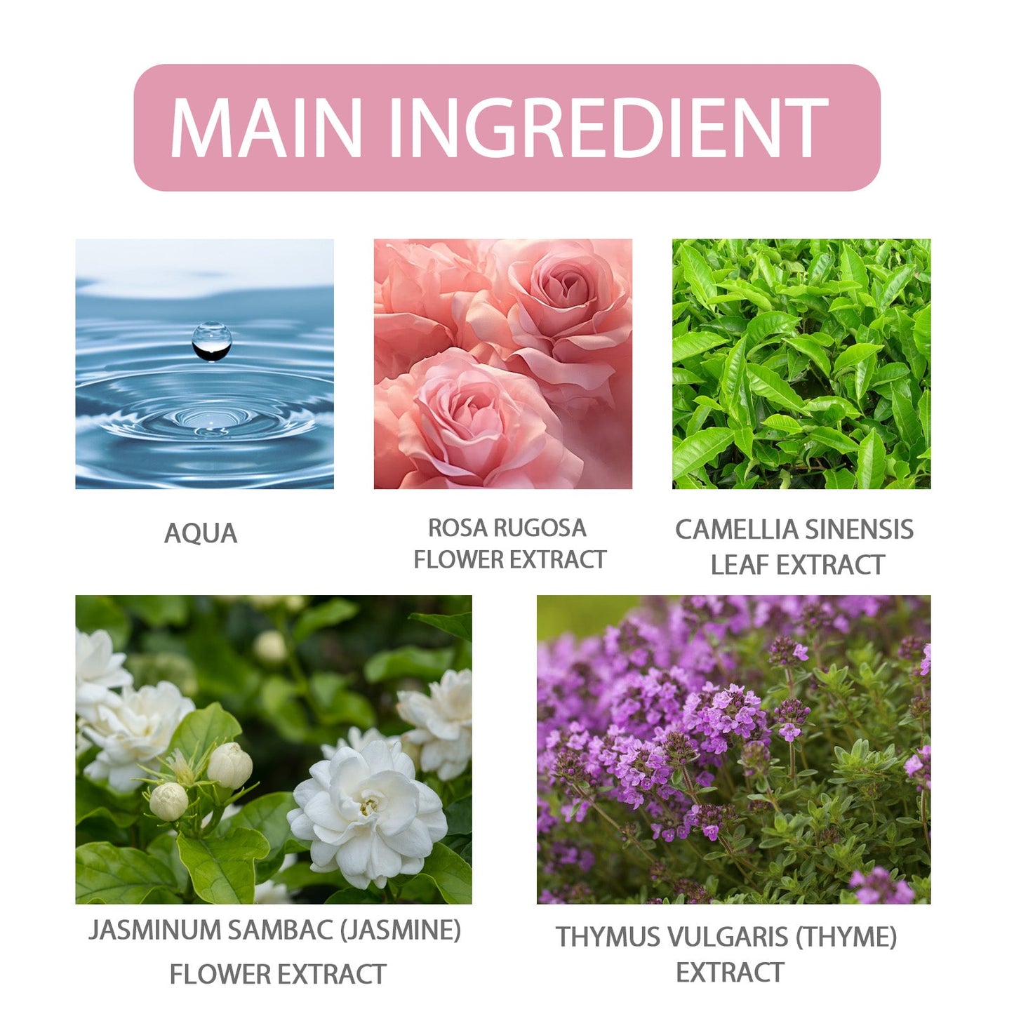 Parfum Pheromone Scenté à la Rose pour Femmes