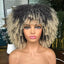 Female Hair African Small Curly Hair Explosion Head Black Chemical Fiber Wig Full Head Set - Korvel