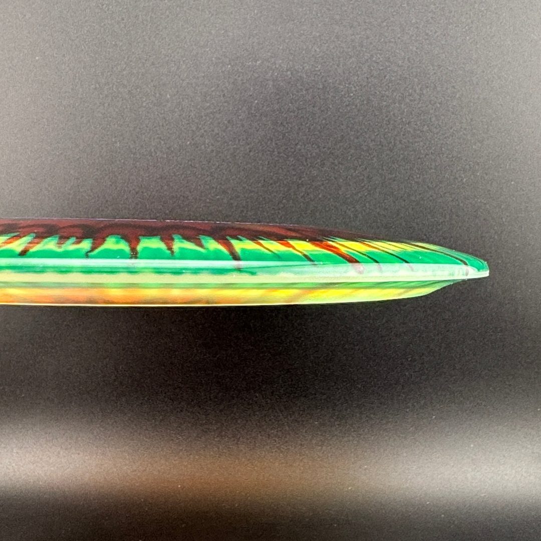Disque de Golf I-Dye Champion Teebird