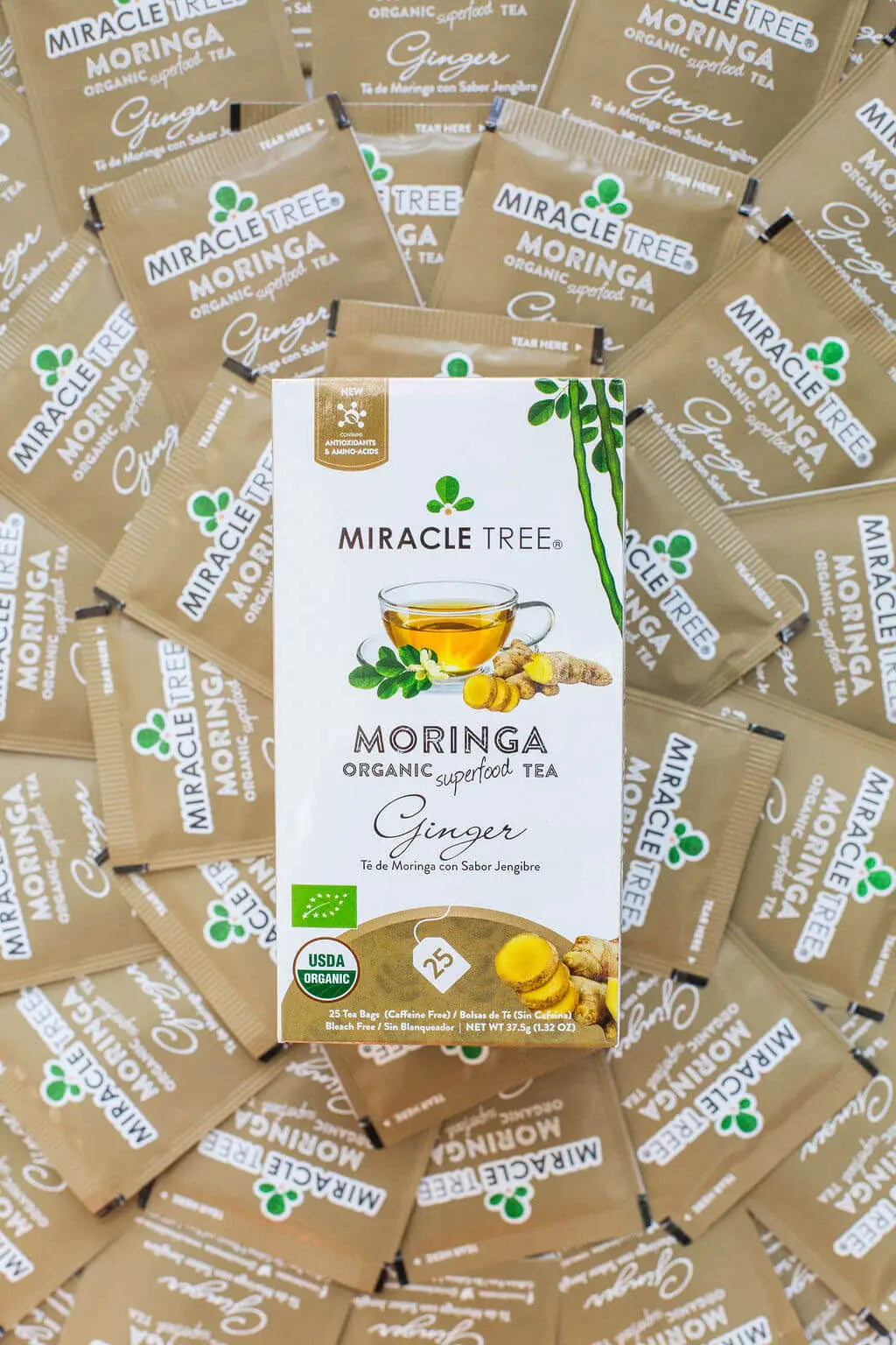 Thé Moringa Bio avec Gingembre - 25 Sachets de Thé Emballés