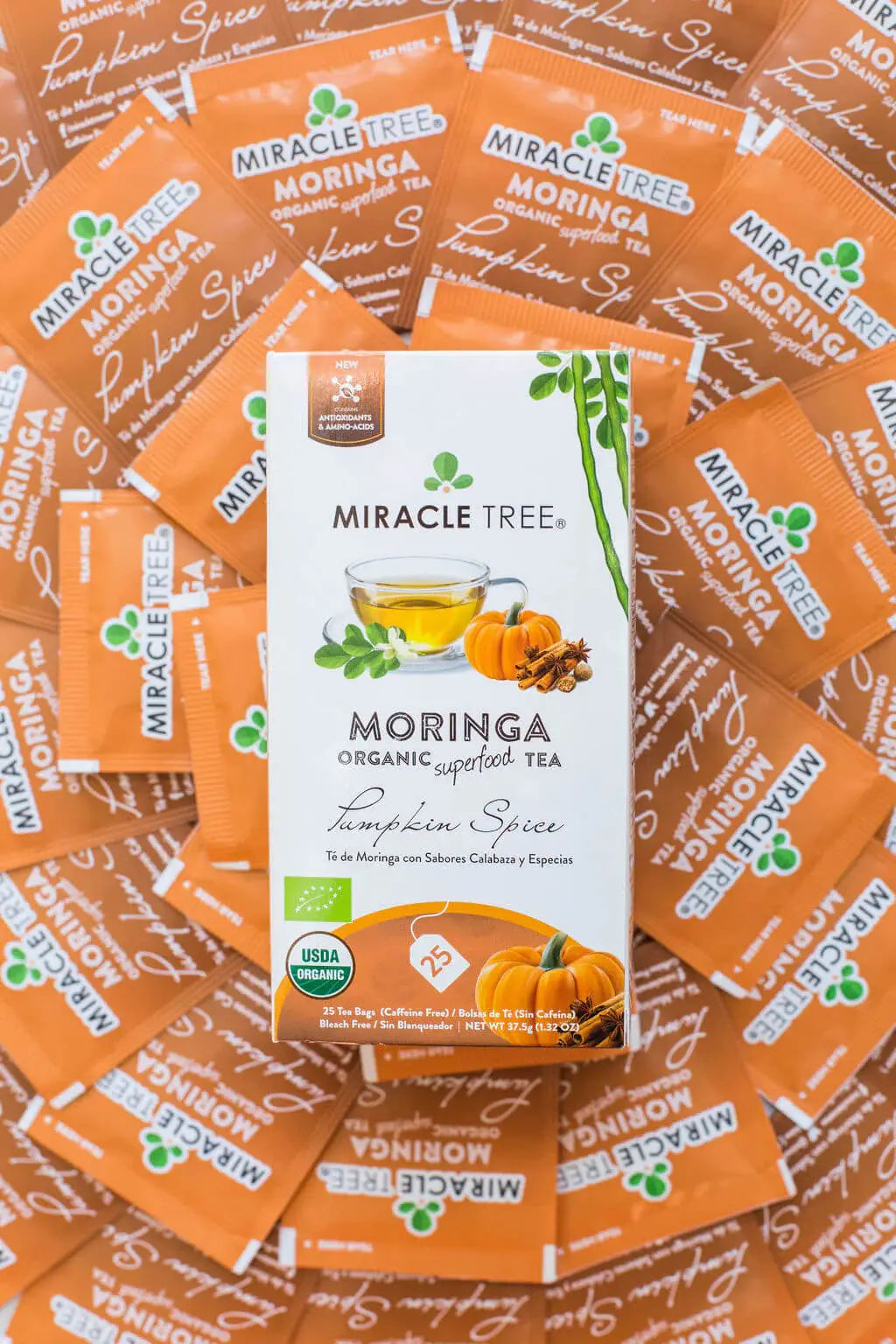 Thé Moringa Bio avec Épices de Citrouille