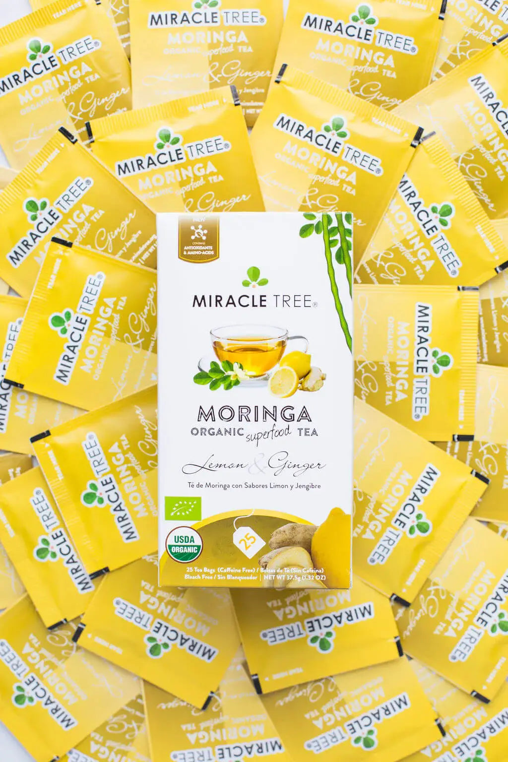 Thé Moringa Bio avec Citron et Gingembre