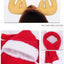 Festive Pet Christmas Costume