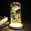 Enchanted Glass Rose Decoration for Home Decor