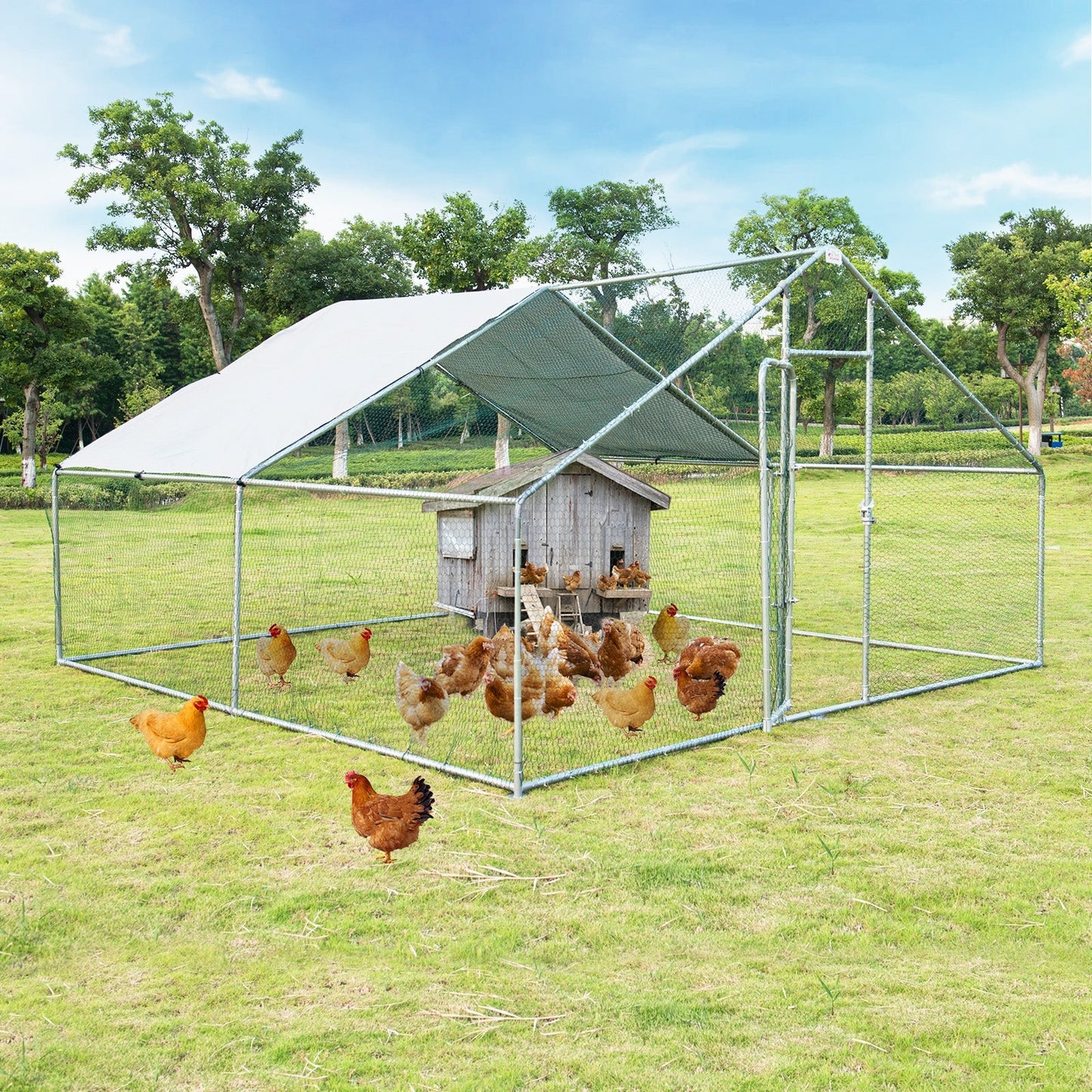 Premium 13 x 13 Feet Walk-in Chicken Coop with Waterproof Cover