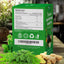 Premium Super Moringa Herbal Tea Bags - 20 Count