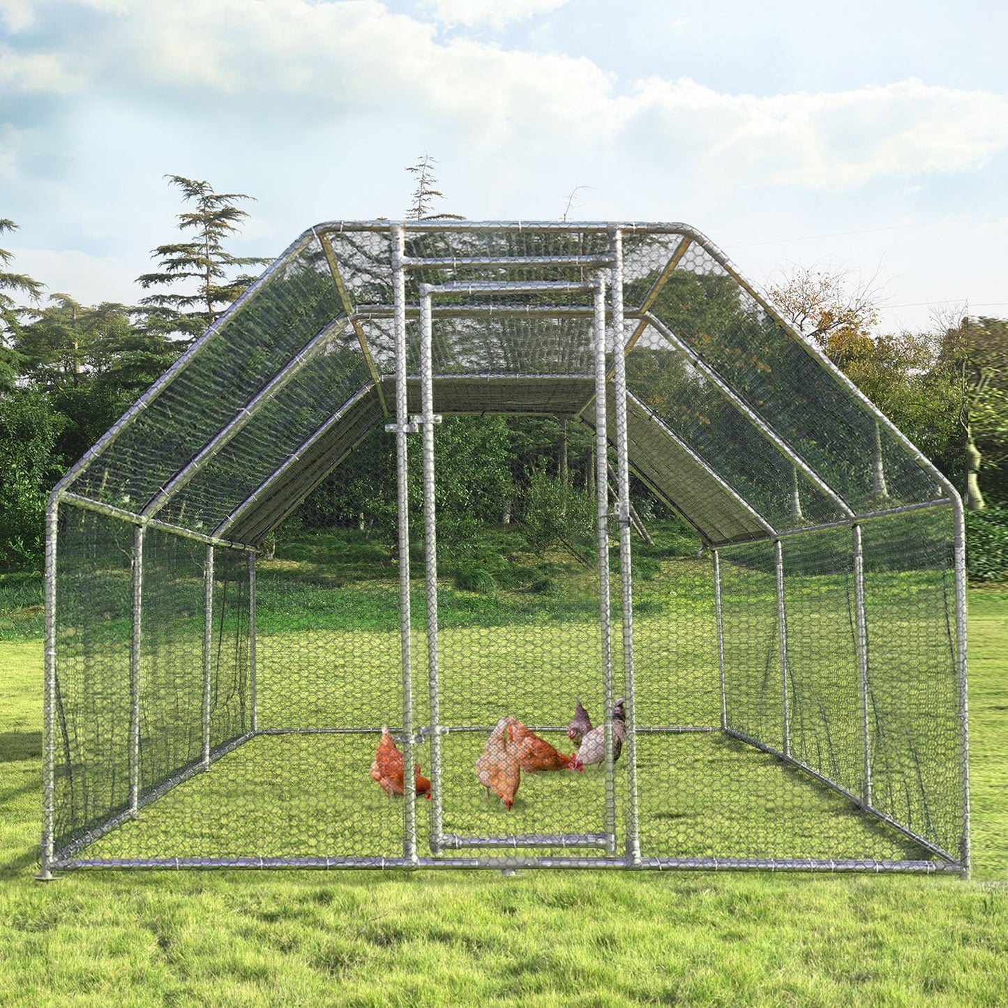 Gallinero grande de 9.5 x 19 pies con acceso