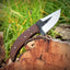 Premium Custom 1095 Forged Steel Skinning Knife | Elegant Rosewood Grip | 7-Inch Blade | Includes Leather Sheath - Korvel