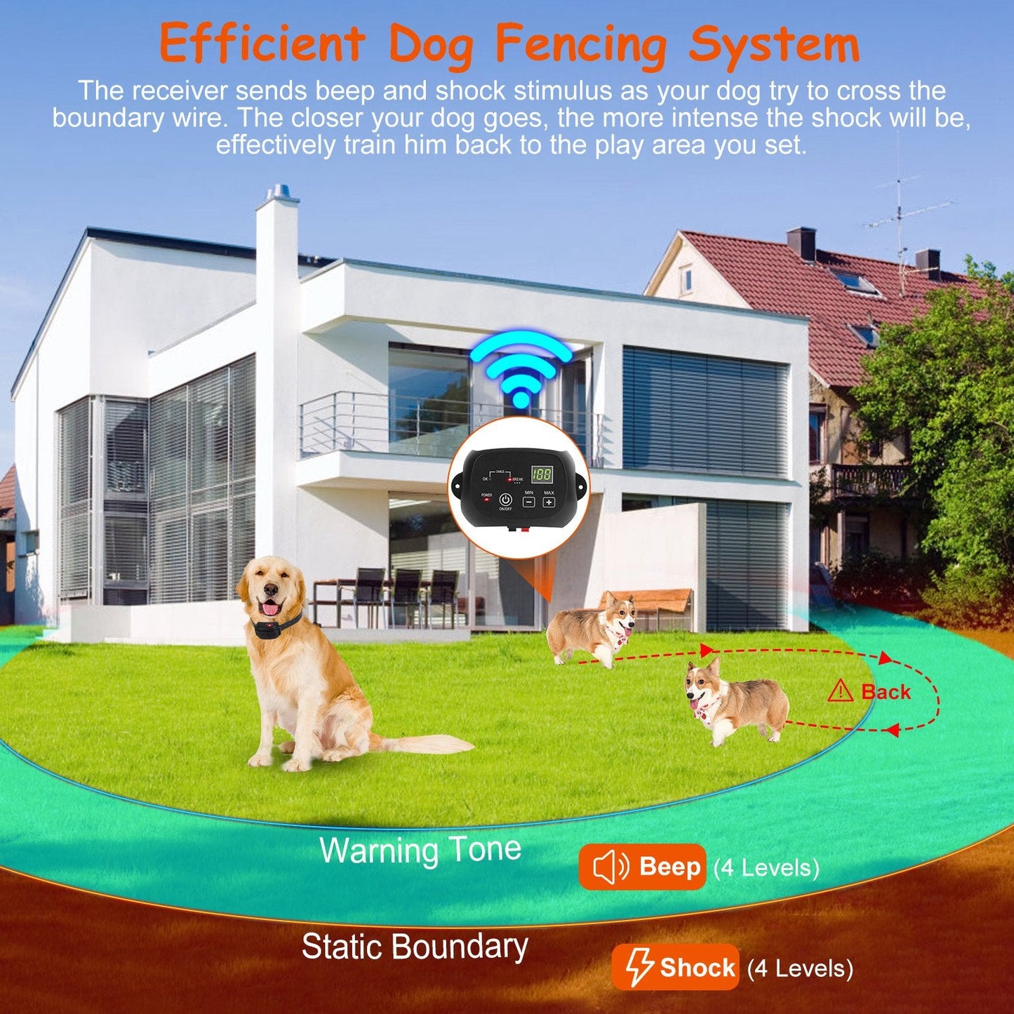 Système de clôture électronique pour chien GBruno