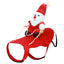 Costumes de Noël pour animaux de compagnie GBruno
