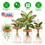 Ensemble de 4 stations de propagation en verre pour plantes d'intérieur