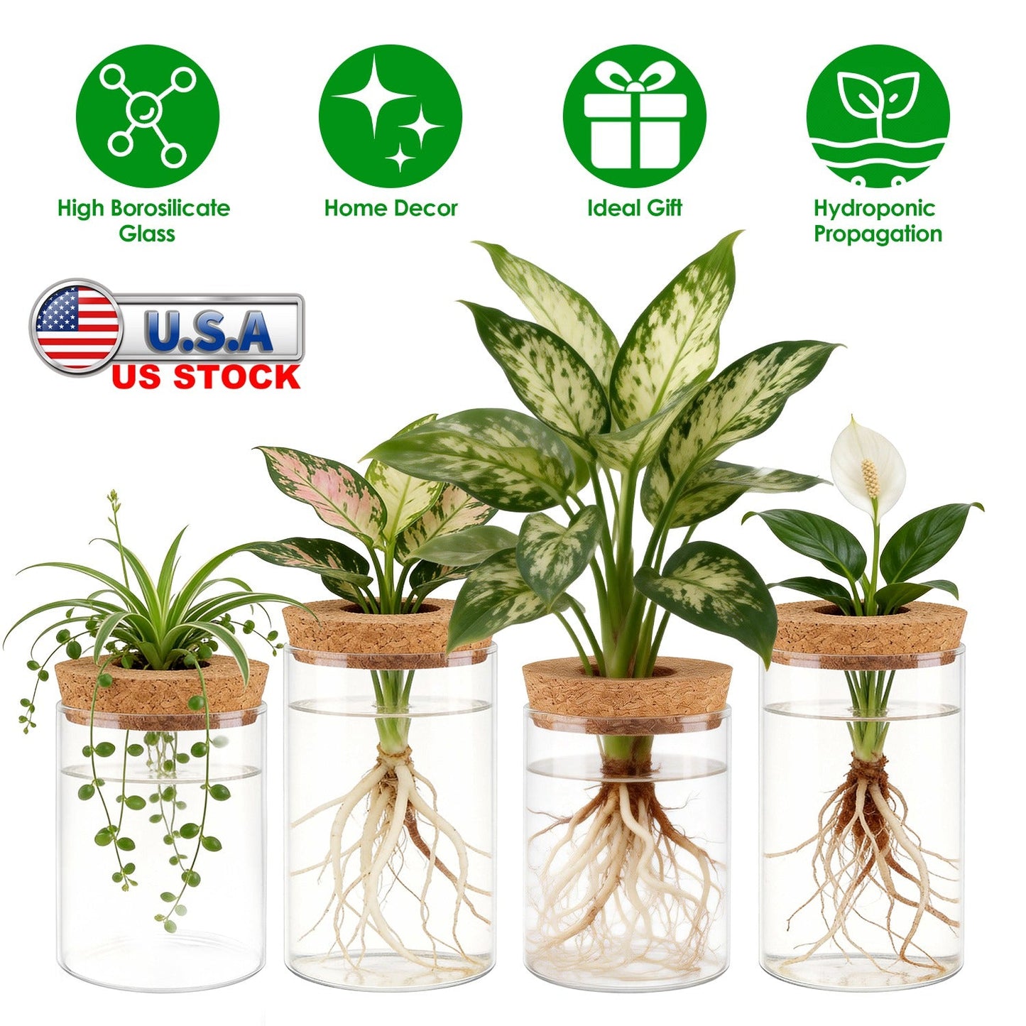 Ensemble de 4 stations de propagation en verre pour plantes d'intérieur