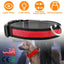 Collar LED para Perros GBruno USB - Visibilidad Nocturna Mejorada