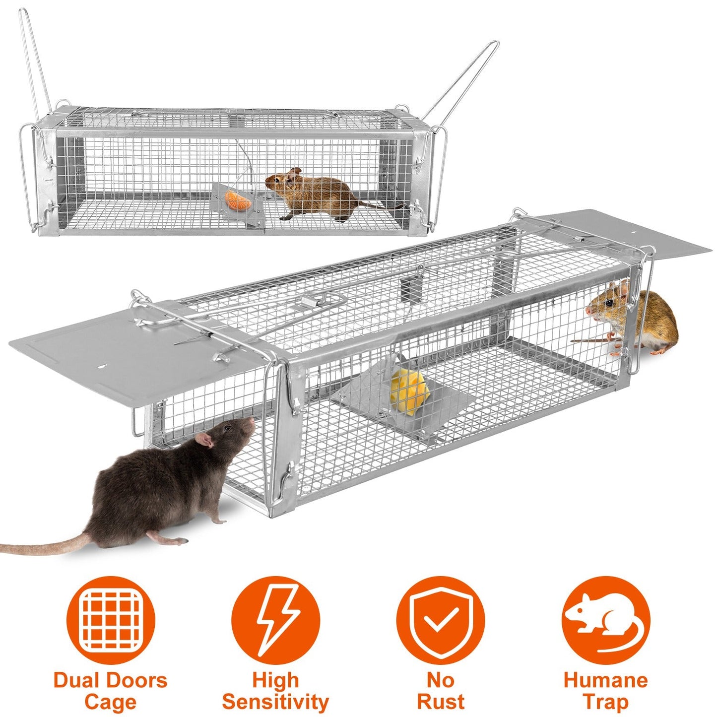 Trampa Humana para Ratas de Doble Puerta GBruno
